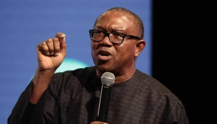 Presidential poll: Peter Obi disagrees with US APC over White House Park protest