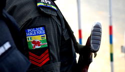 Police arrest 3 robbery suspects in Delta