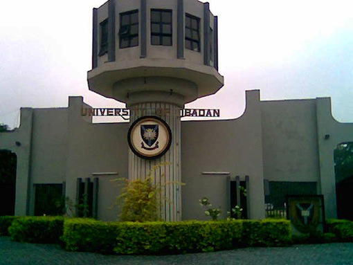 UI begins data-efficient course webinar for distance learning students