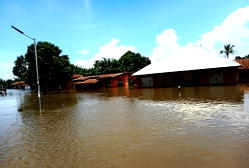 Flood: Communities submerged in Edo as residence cry for help