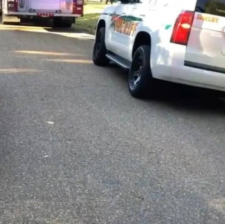 Two dogs kill 2 children, injure mother in US