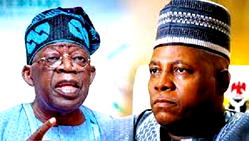Tinubu/Shettima presidency a task for all stakeholders — Professionals Council