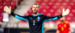 Qatar 2022: David De Gea excluded from Spain’s 55-man provisional squad