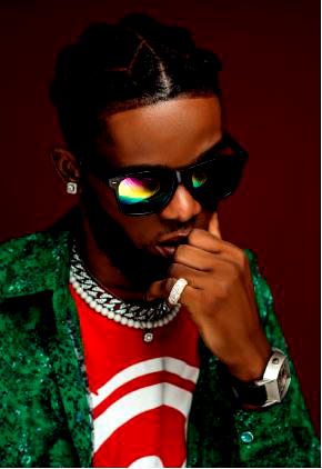 Nigerian singer, Nelly B shakes global stage with 20 hit tracks