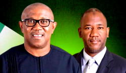Keyamo’s Petition: Don’t touch Peter Obi, Datti Baba-Ahmed, HURIWA urges DSS