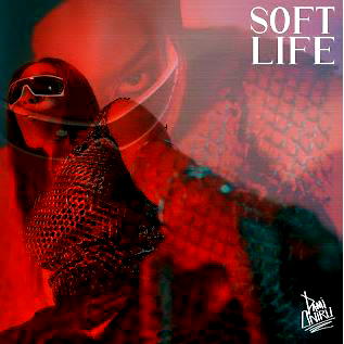Rising star Dami drops new single ‘Soft Life’