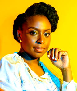 Chimamanda’s son: Anaesthetists society seeks involvement in govt probe