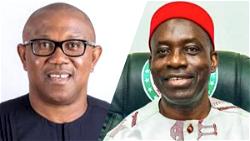 We didn’t drag Soludo to deities over face-off with Obi – Ohanaeze  