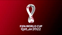 Qatar 2022: Some moments from World Cup group stages
