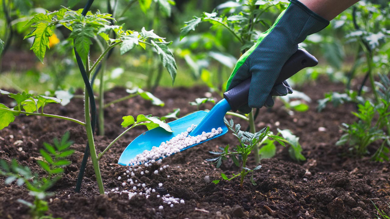 Nigeria’s fertilizer production capacity skyrockets by over 300% since 2017 — FEPSAN President