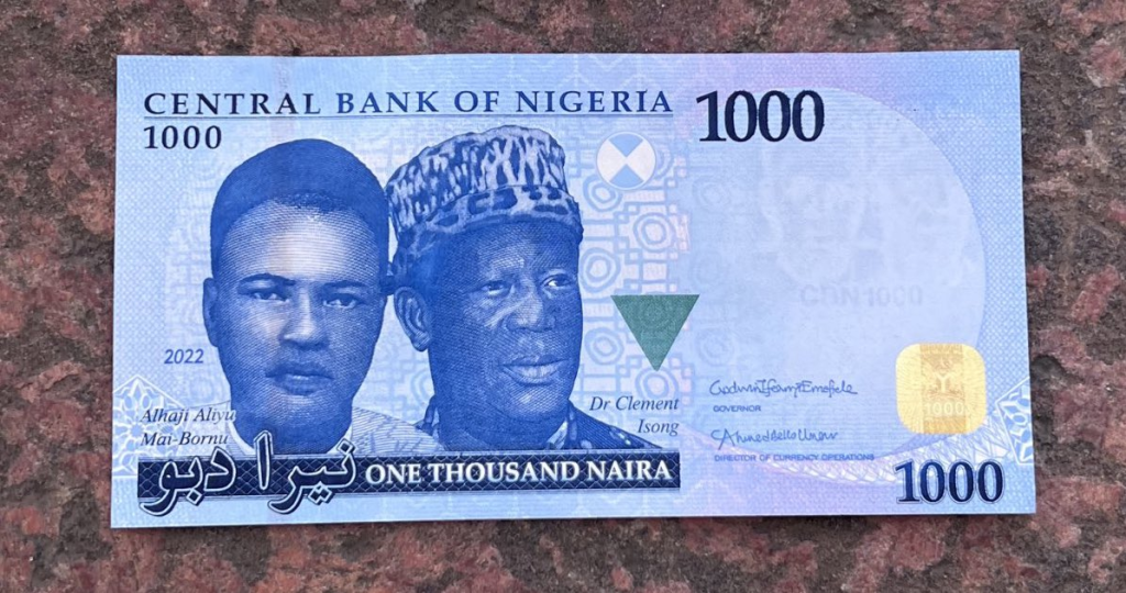 New Naira Notes 2024 Design - Mona Sylvia