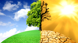 FG endorses white paper on harmonisation of global climate concerns