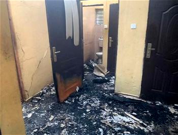 Burning INEC offices in Southeast will draw region backward -Archbishop Fearon