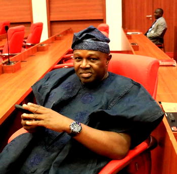 Extra-Judicial killing by Police : Set up Police reform, you still have time, Senator Tofowomo, tells Buhari