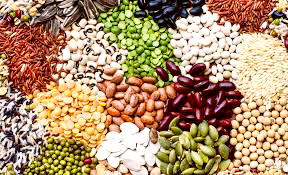 Food Production: NASC registers 449 seed companies – DG