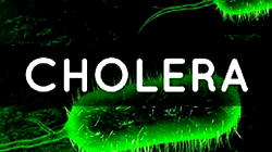 Cholera outbreak: Plateau records 3 deaths, 5 confirmed cases