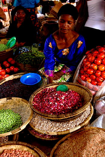 Food, nutrition crisis looms for 24.8m in 26 states, FCT – FAQ 