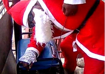 Five side hustle ideas to make extra cash during Christmas season