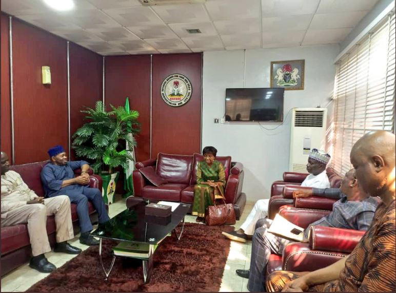 Just in: Buhari reappoints Adeyeye as NAFDAC DG