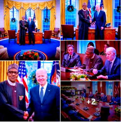 Buhari assures U.S investors of  business opportunities in Nigeria