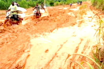 Federal roads are death traps — Findings
