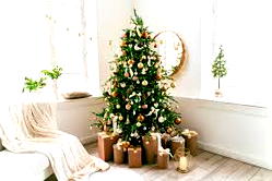 5 interesting facts about Christmas Trees