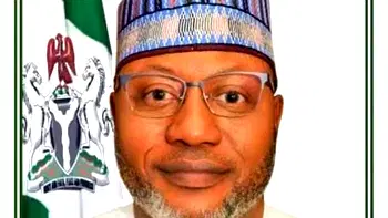 Flood: Govs should account for ecological funds — Environment minister