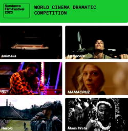Nigerian movie, Mami Wata, selected for international competition