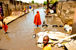 Hundreds of Borno floods victims seek refuge in Niger Republic