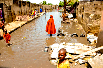Hundreds of Borno floods victims seek refuge in Niger Republic