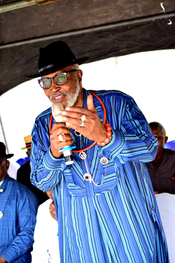 How my plan for a united Delta Ijaw in PDP was threatened—Bozimo