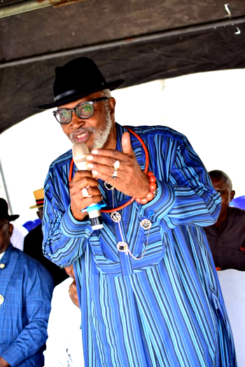 How my plan for a united Delta Ijaw in PDP was threatened—Bozimo