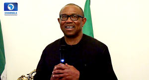image 73 2023: What can stop Peter Obi from winning