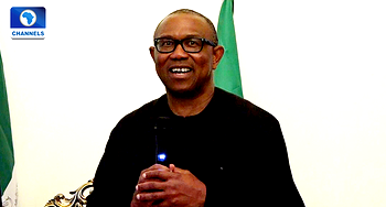 2023: What can stop Peter Obi from winning  — LP scribe