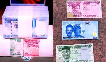 Buhari’s firm defence of Naira policy