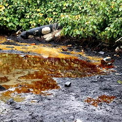 Oil theft: Group laments pollution of farm land, environment in Delta, threaten lawsuit
