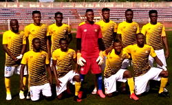 NPFL: Wikki Tourist ready to perform this season, says Captain