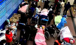 China data ‘under-represents’ true impact of Covid outbreak – WHO