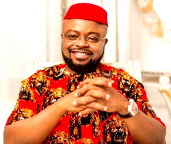 Ebonyi Governorship poll: Diaspora group endorses PDP candidate, Odii