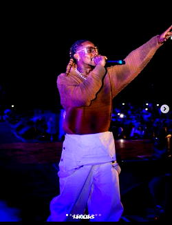 <strong>Asake, Seyi Vibez, Black Sherif others shut down BWUFEST</strong>