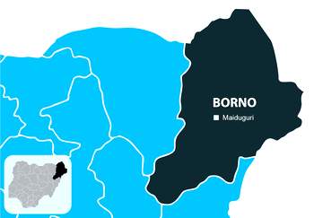 Again, two soldiers killed in landmine explosion on Borno road