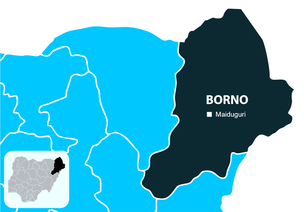 7-month-old baby among 13 abducted by terrorists in Borno