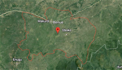 Youth leader, four others killed in fresh herders attack in Benue