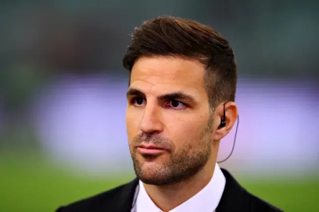 ‘EPL title not won yet,’ Fabregas warns Arsenal