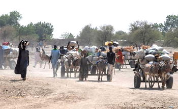 3.7m IDPs: FG woos private sector for durable solutions