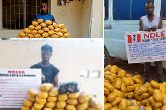 NDLEA nabs 3 traffickers with 256kgs illicit drugs in 3 states