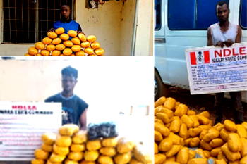 NDLEA nabs 3 traffickers with 256kgs illicit drugs in 3 states