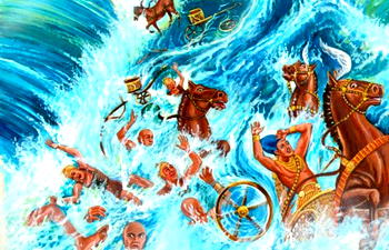 NEW YEAR ESSAY: The Lord will fight for you