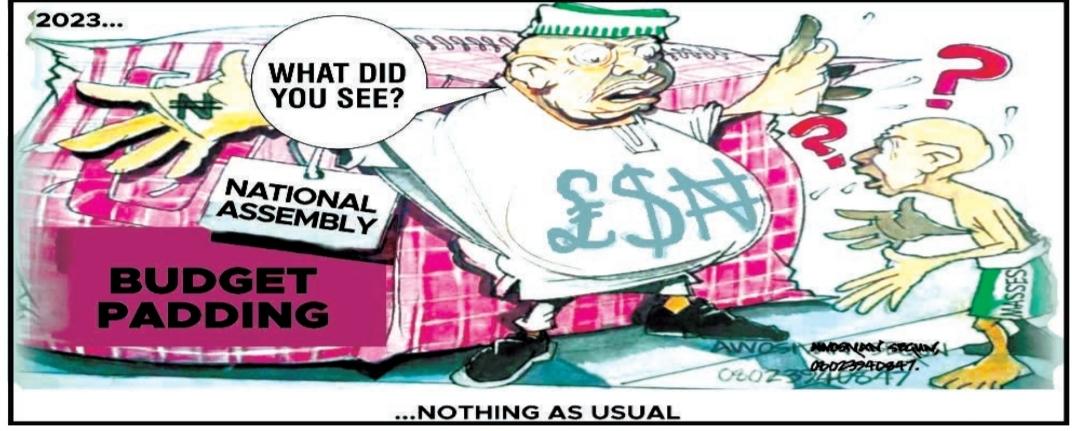 Cartoon: Politicians' stomach always obstructing Nigerians' view