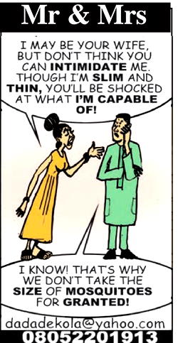 Mr & Mrs: He just mosquitoed her